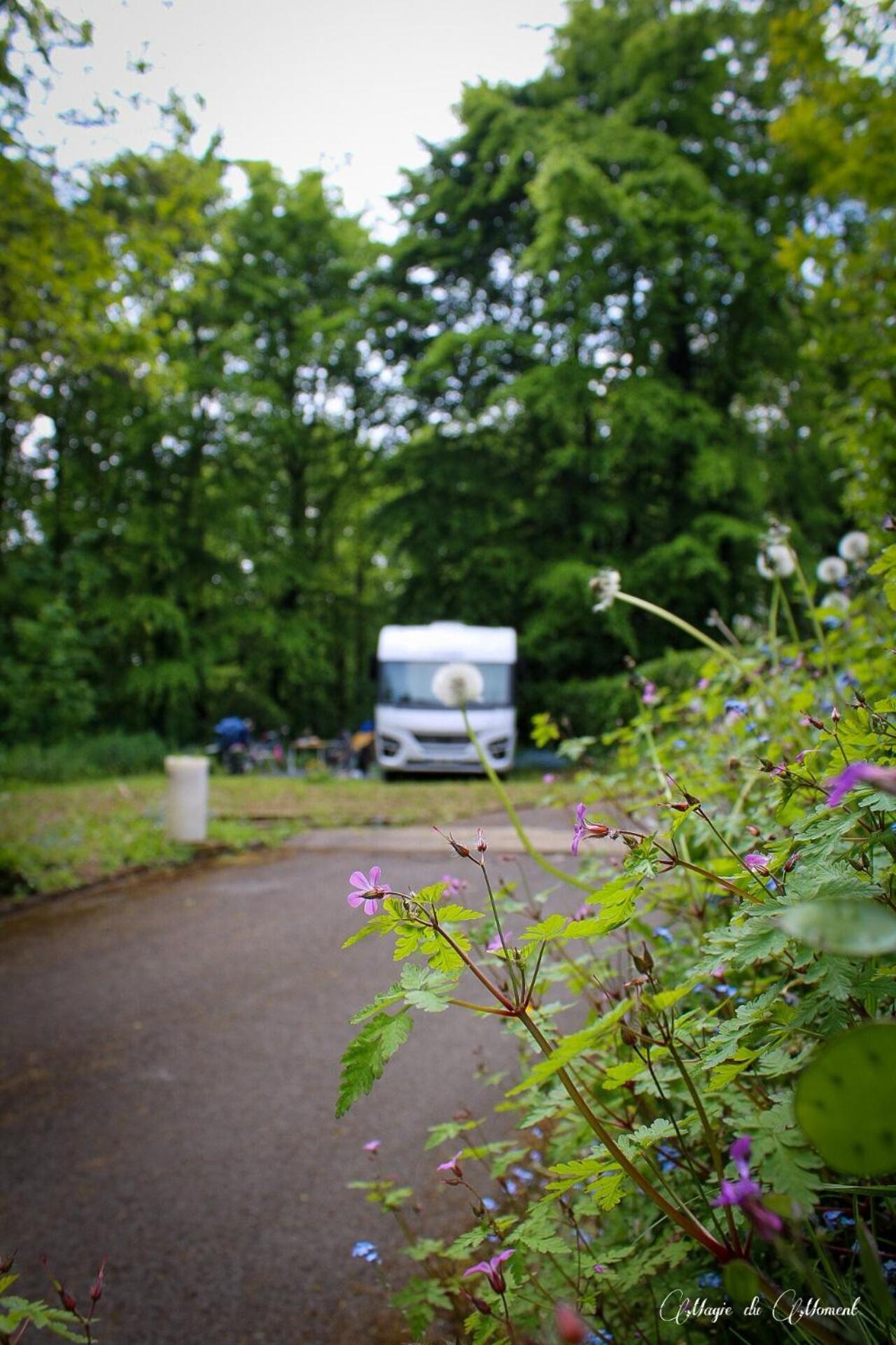Camping La Sabliere Saint-Jans-Cappel Exterior foto